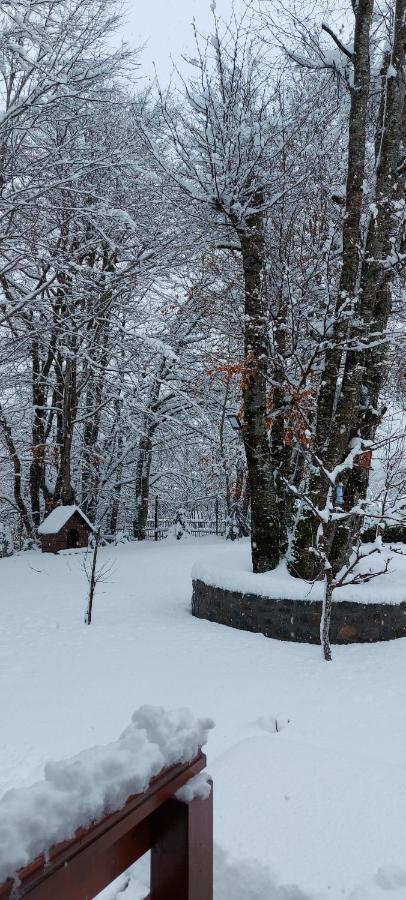 Vikendica Crkvina Villa Kolašin Kültér fotó