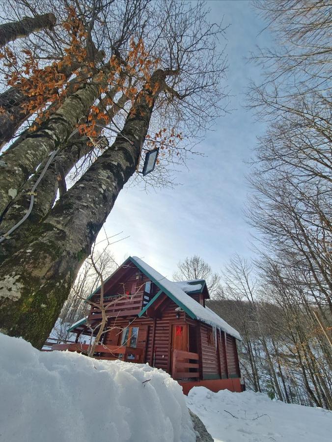 Vikendica Crkvina Villa Kolašin Kültér fotó